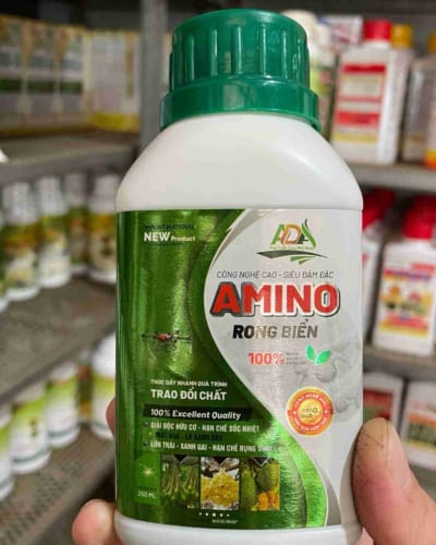 Phân bón lá sinh học đa lượng có chất điều hòa sinh trưởng amin rong biển