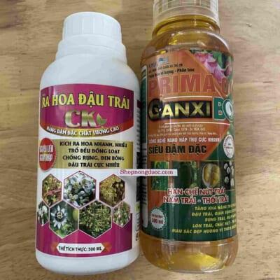 cặp ra hoa đậu trái CK hàng đậm đặc chất lượng cao